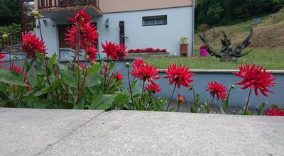 Le pouvoir des fleurs ... tout en images.  Un petit coin de verdure: fleurir et aménager le balcon, la façade, la terrasse de maison ou le jardin mais aussi les édifices et les endroits du village.  Fine fleur ... 