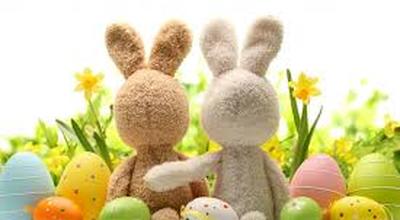 lapin