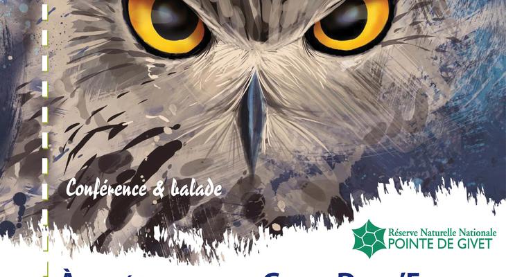 hibou