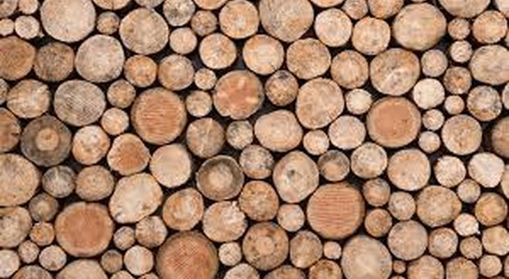part de bois