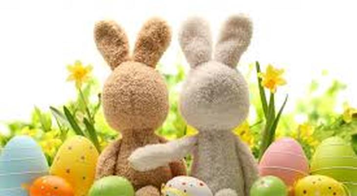 lapins