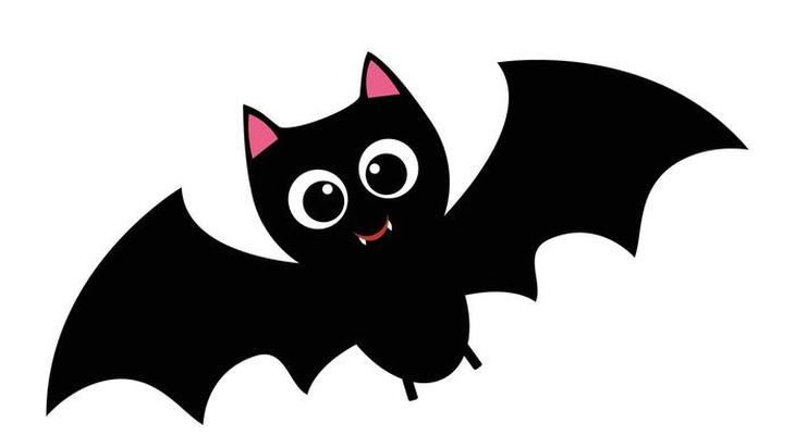 CHAUVE SOURIS