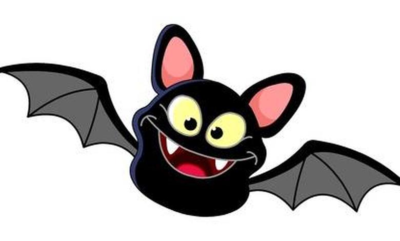 Chauve souris