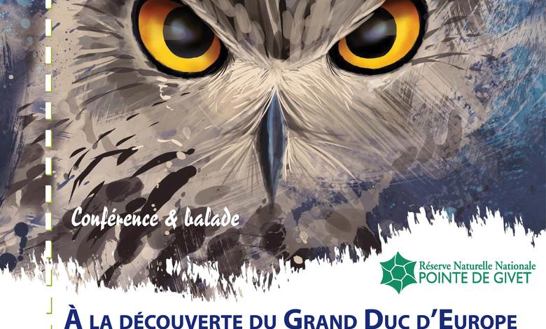 hibou