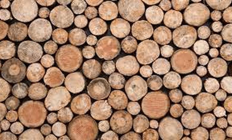 part de bois