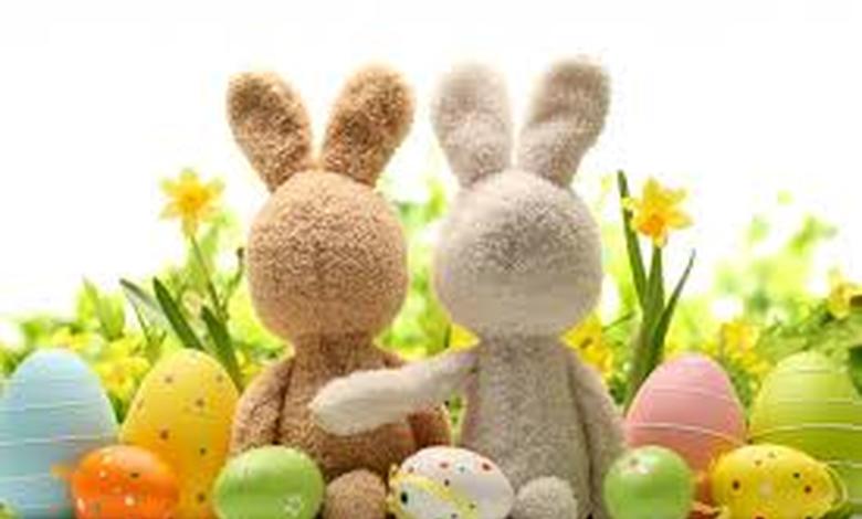 lapin