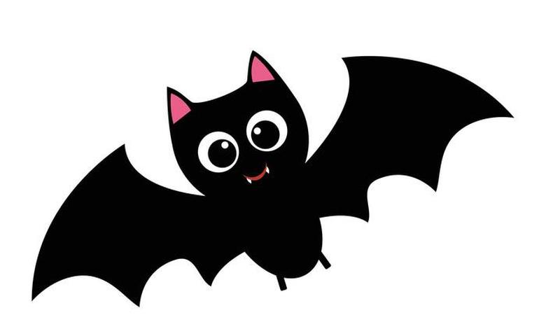CHAUVE SOURIS
